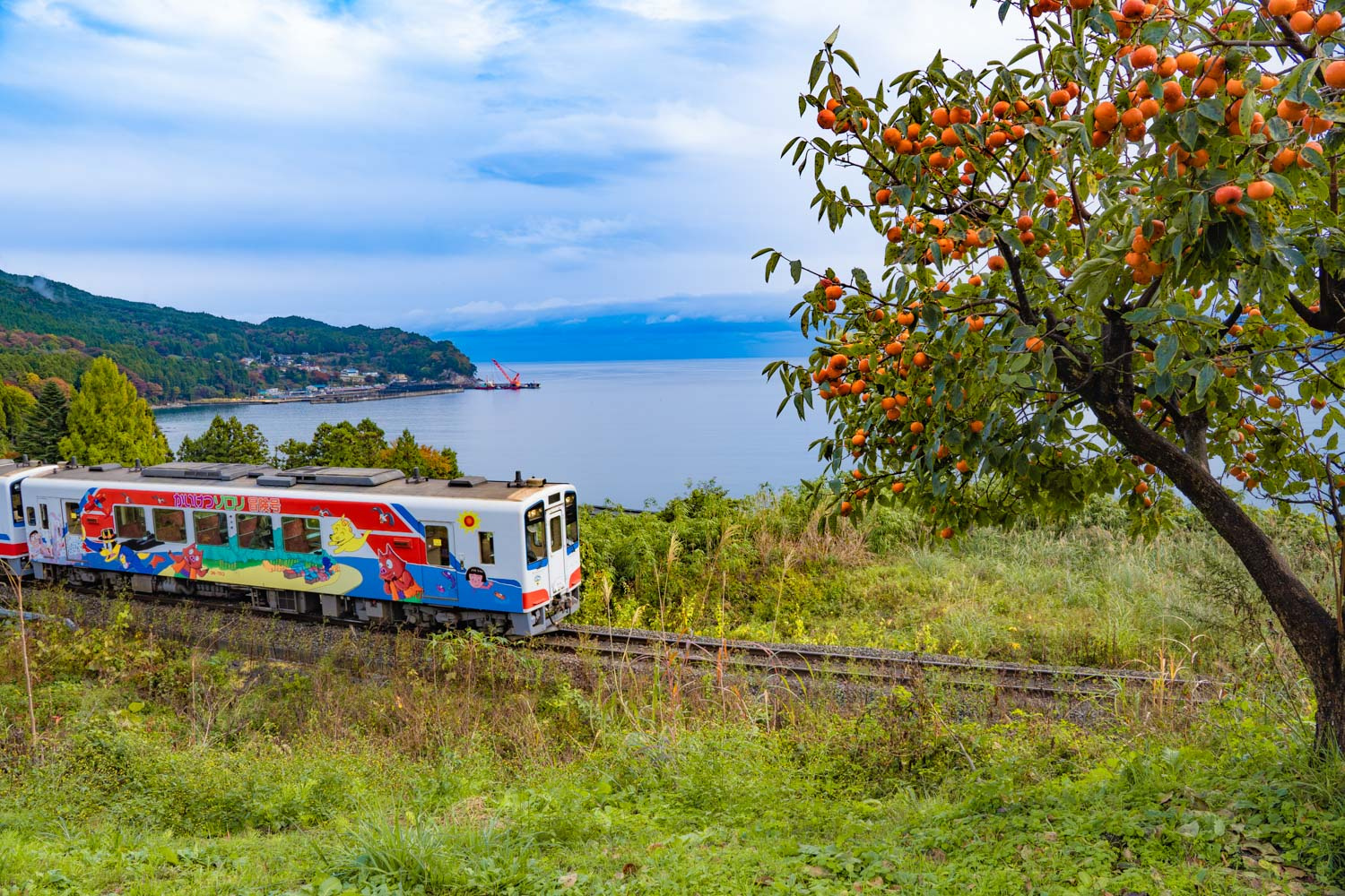 Michinoku Coastal Trail | Regions | Oku Japan