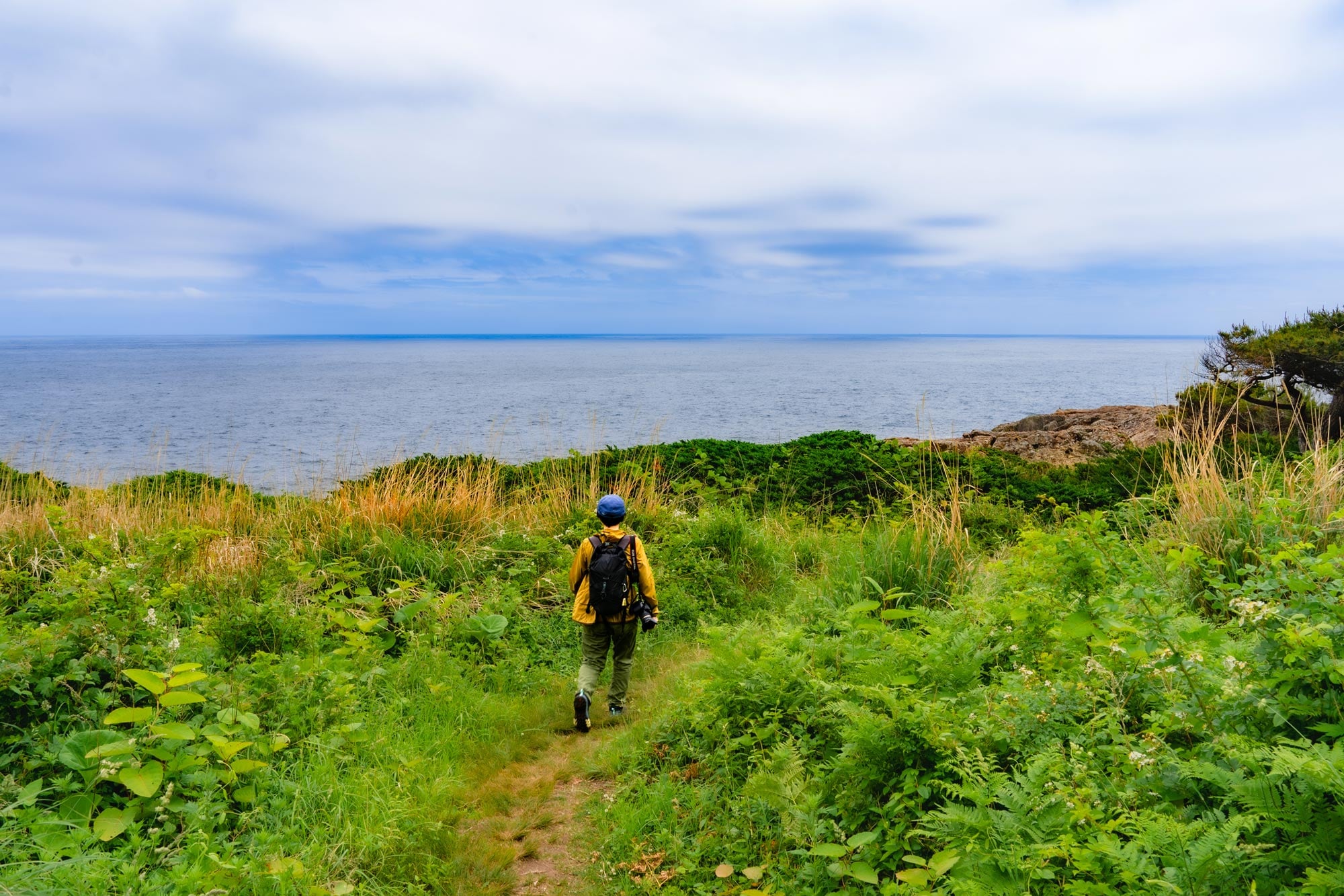 Michinoku Coastal Trail | Regions | Oku Japan