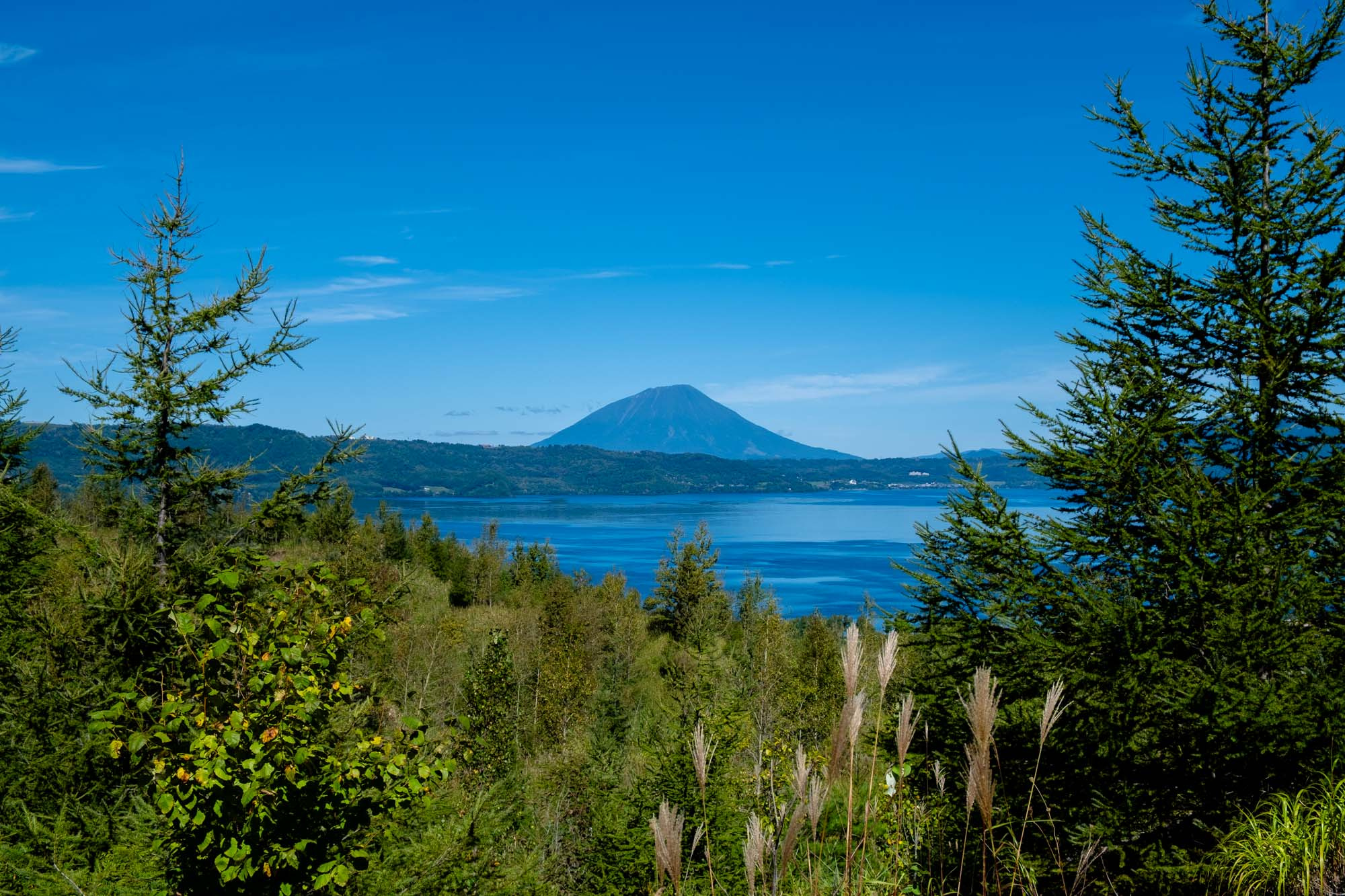 Explore Sapporo and Beyond
