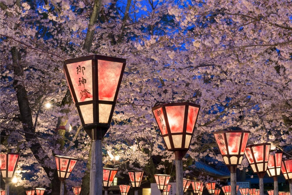 Tracing Japan's Cherry Blossom Peak Across the Country