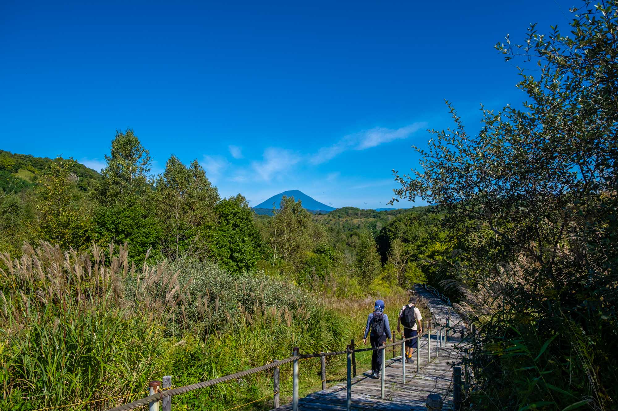Explore Sapporo and Beyond