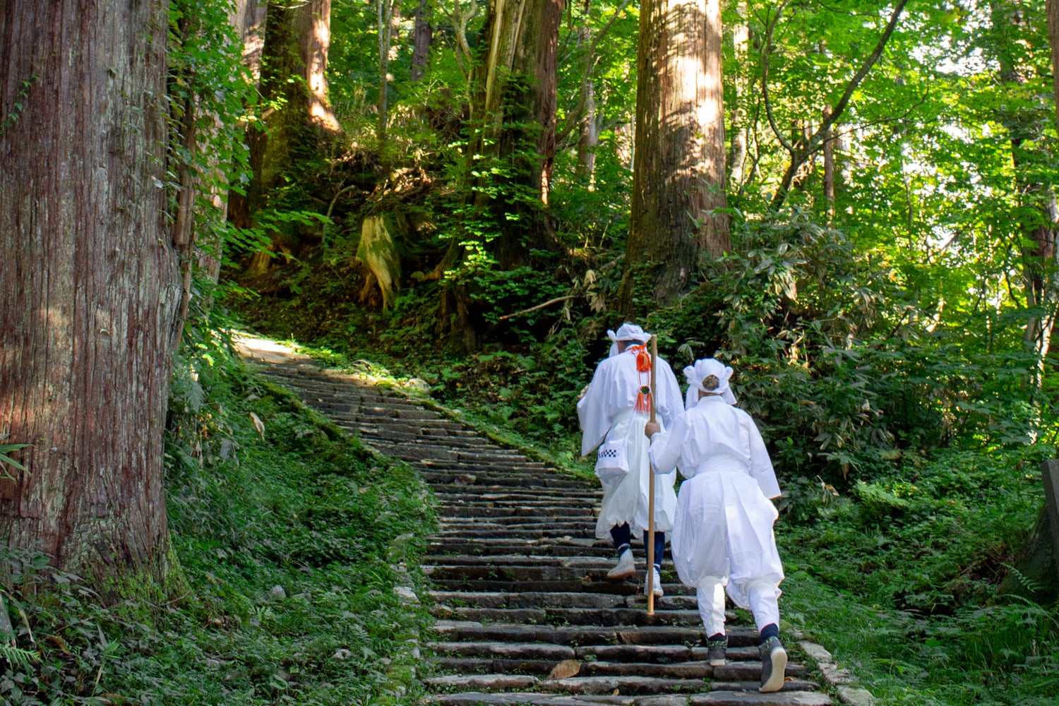 Guided Tours in Japan | Oku Japan