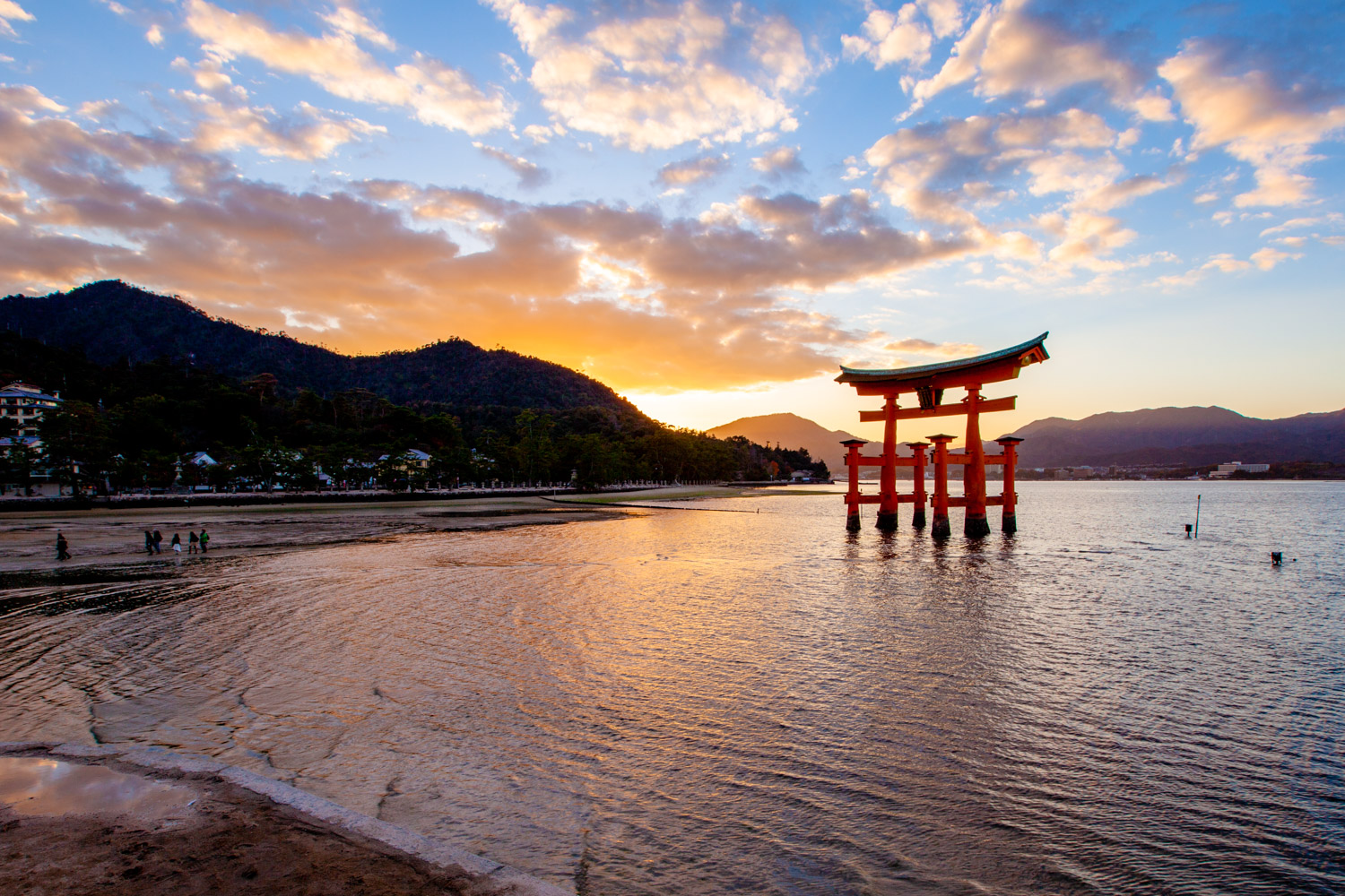 Guided Tours in Japan | Oku Japan