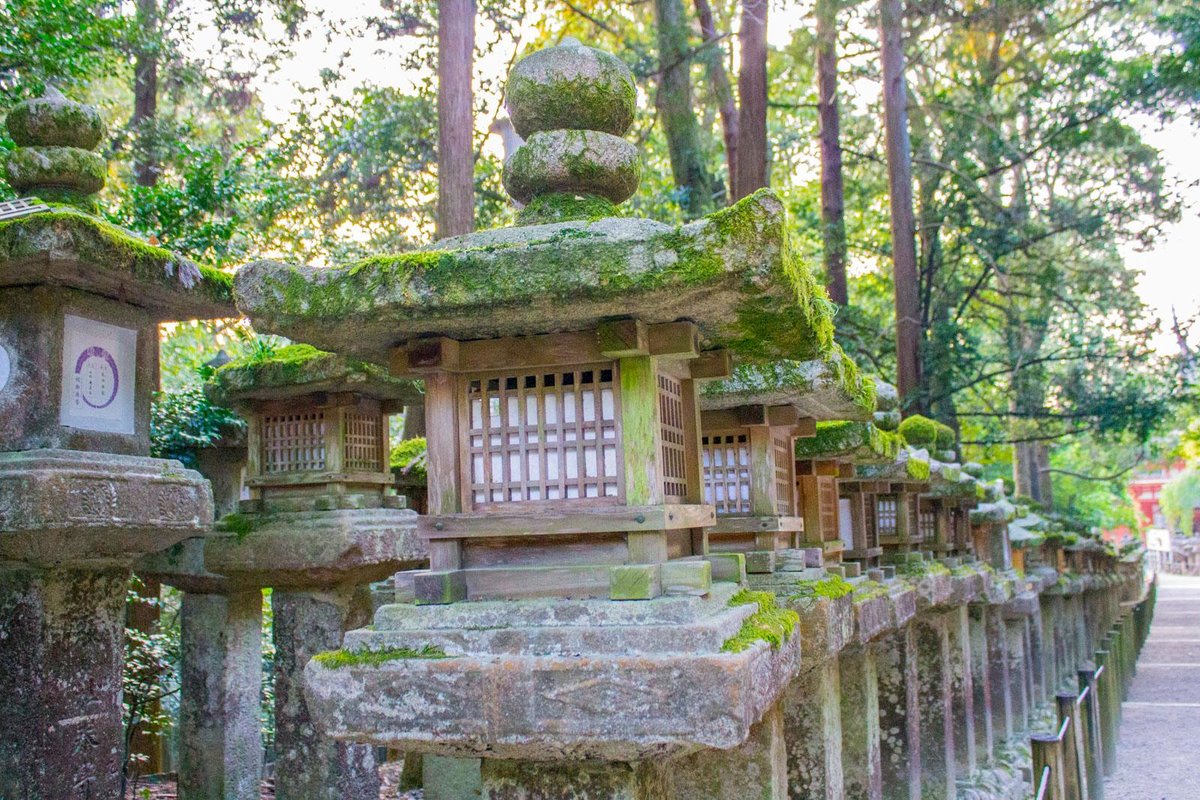 Nara Ancient Capitals self-guided walking 5 days